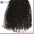 Extensão Do Cabelo Humano Virgem Real Nenhum Processo Químico Pacotes Macios Afro Kinky Curly Trança De Cabelo